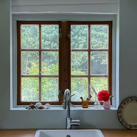 Authentic On Mon With Magnificent Nature