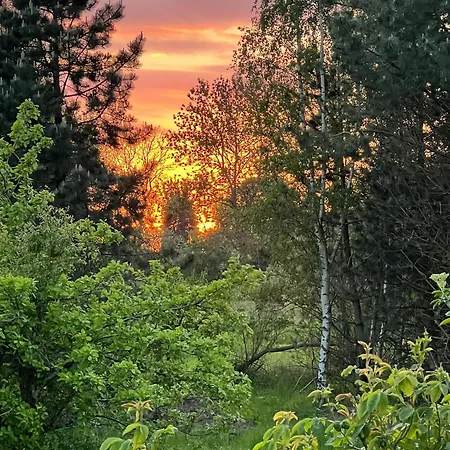 Authentic On Mon With Magnificent Nature Nyaraló Askeby